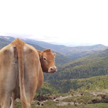 Altxabi Apartamento Rural Ochagavía Esterno foto
