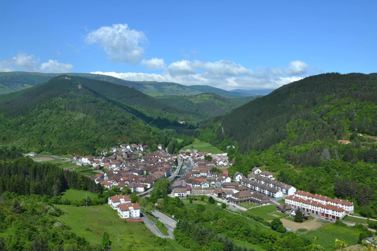Altxabi Apartamento Rural Ochagavía Esterno foto