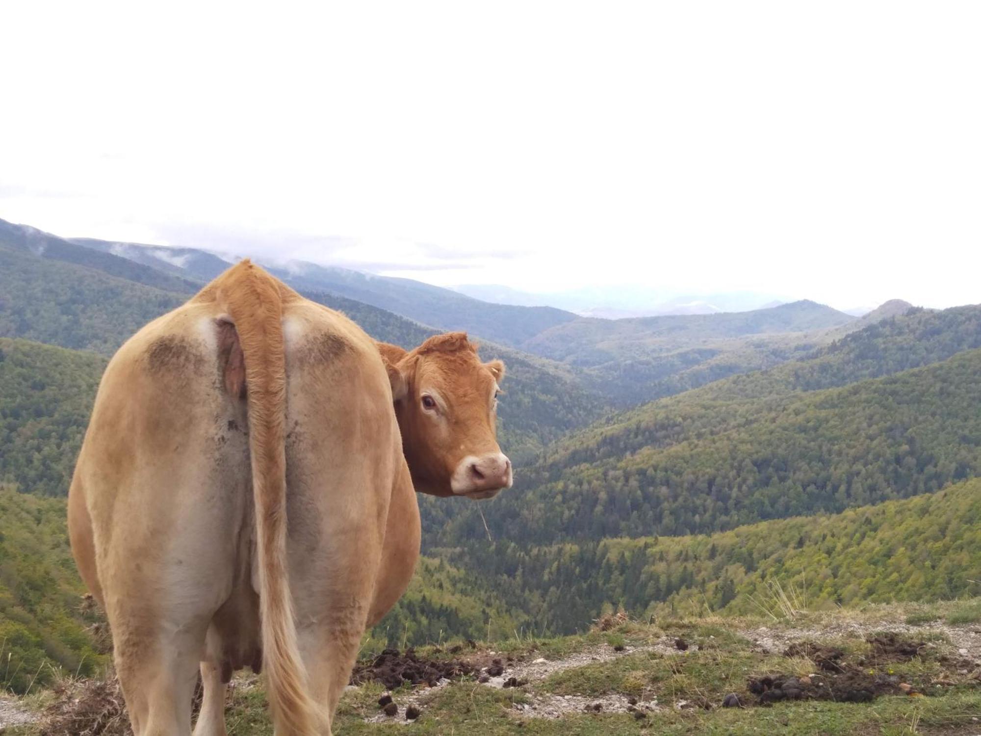 Altxabi Apartamento Rural Ochagavía Esterno foto